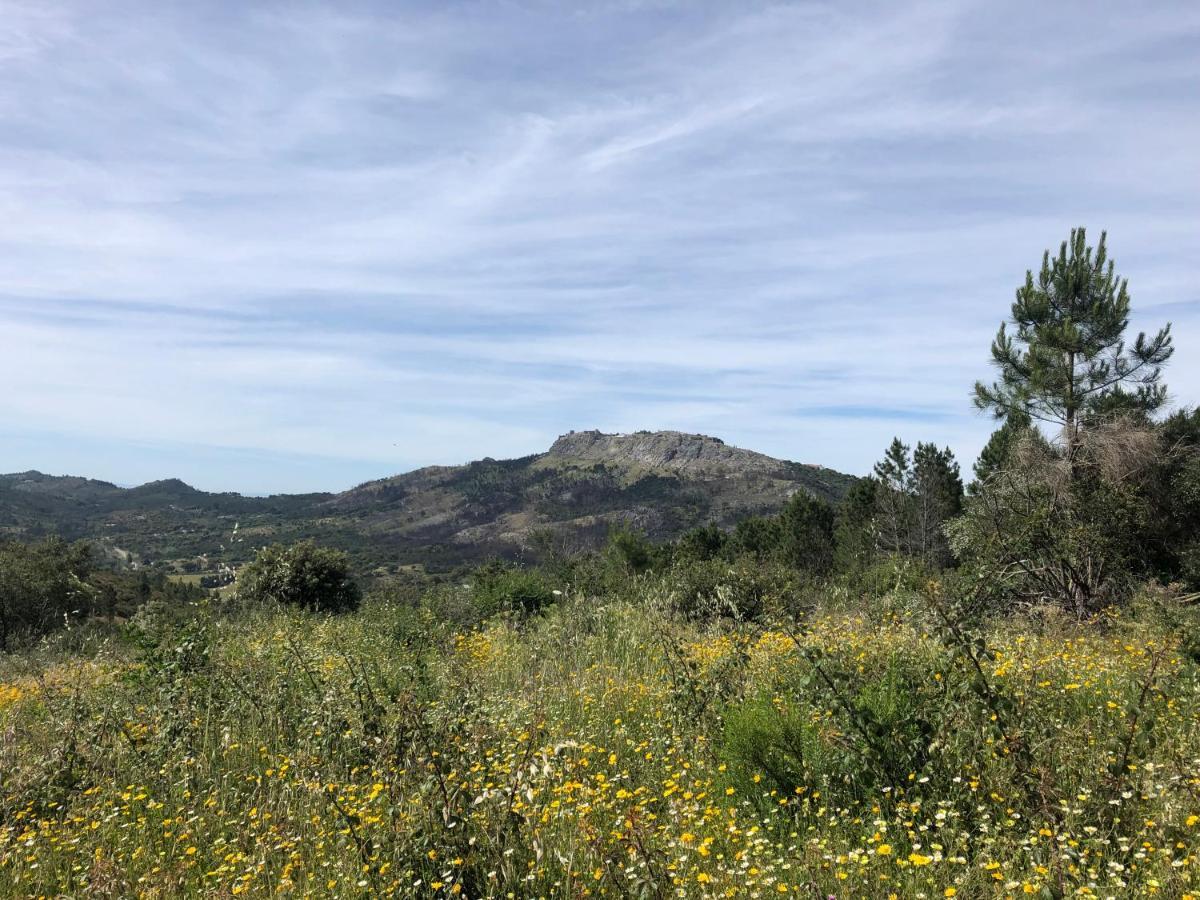 Varanda Do Alentejo Marvão Εξωτερικό φωτογραφία